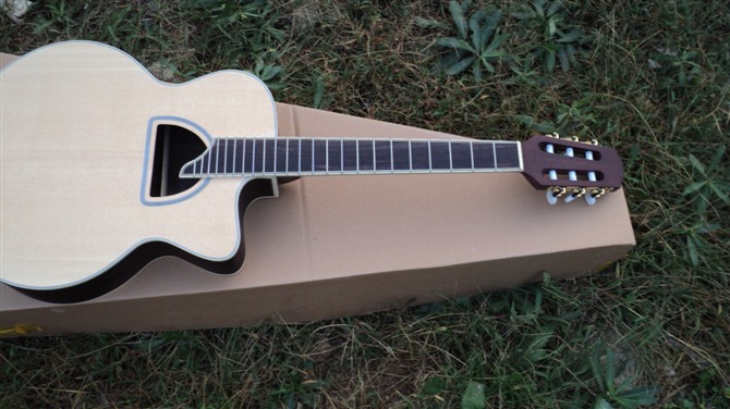 Acoustic Guitar SN-01