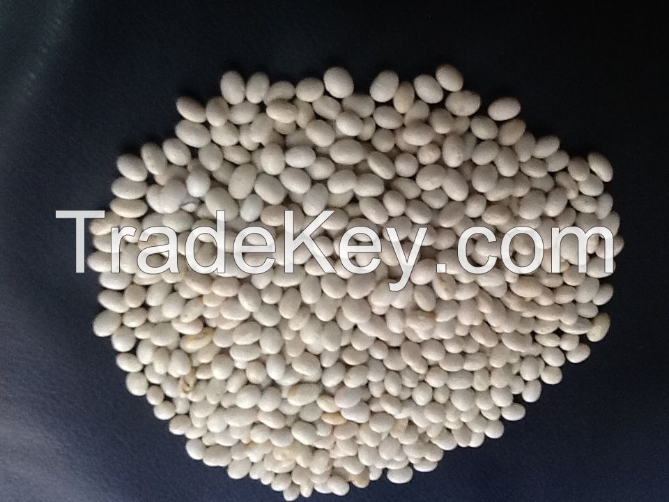 ETHIOPIAN ORIGIN WHITE PEA BEANS