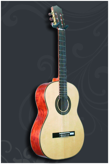 Classical guitar GC-205S