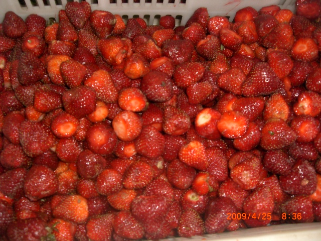 IQF Strawberries