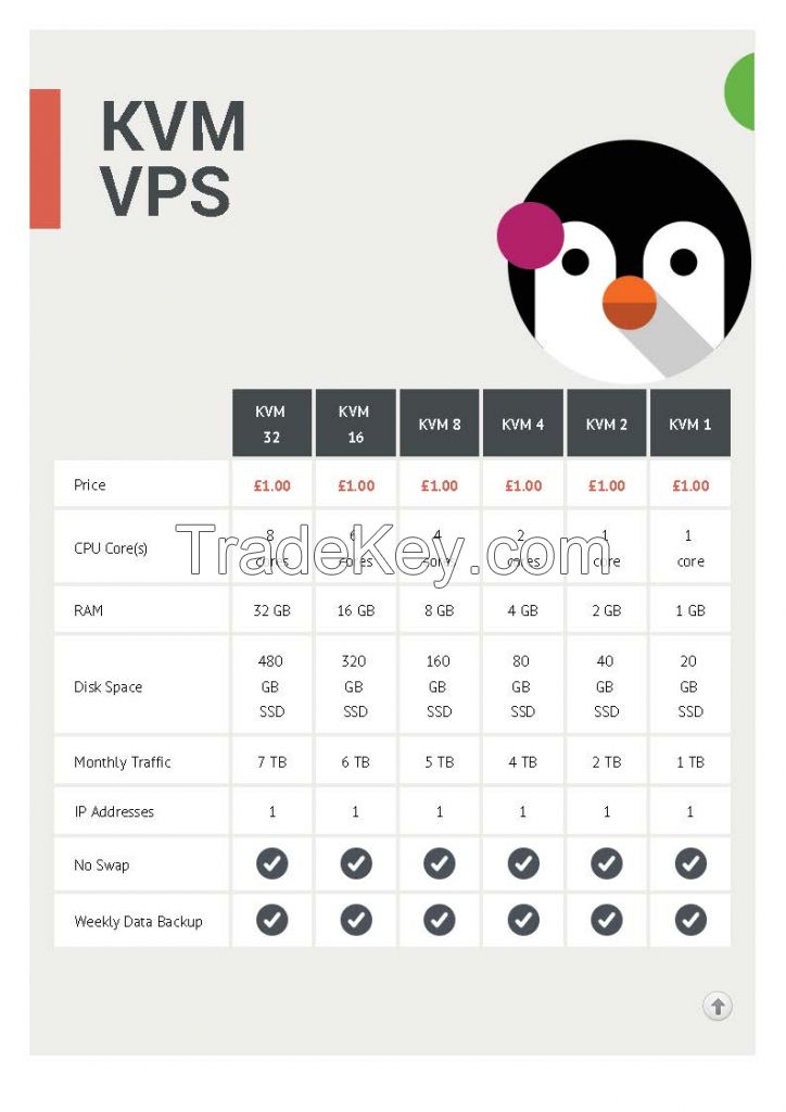 Vps Hosting By Echromatics