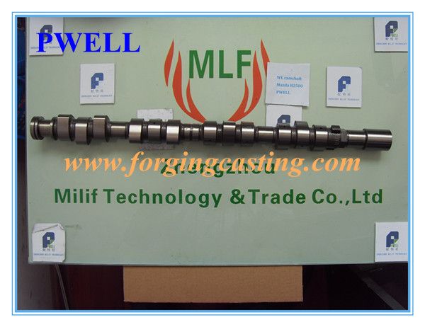 See larger image Professional PWELL wl b2500 camshaft