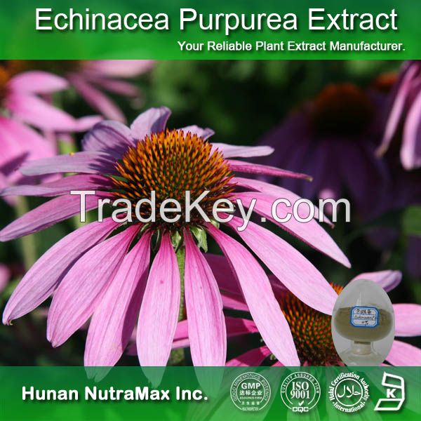 Manufacturer Echinacea Purpurea Extract