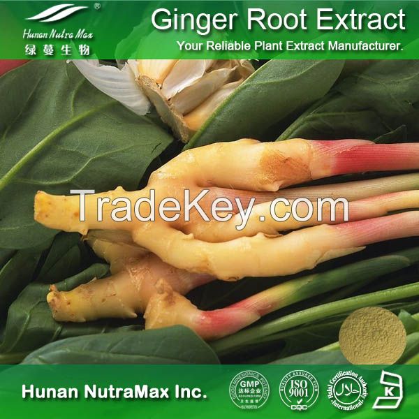 Manufacturer Ginger Root Extract Gingerols