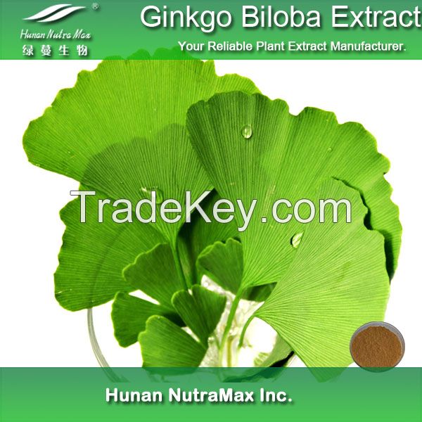 Manufacturer Ginkgo Biloba Extract