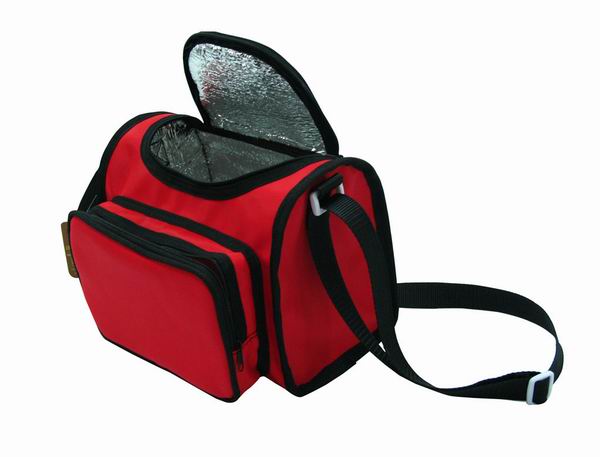 Cooler bag