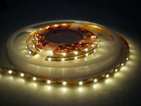 Waterproof Flexible LED Strip with 5050/3528 SMD