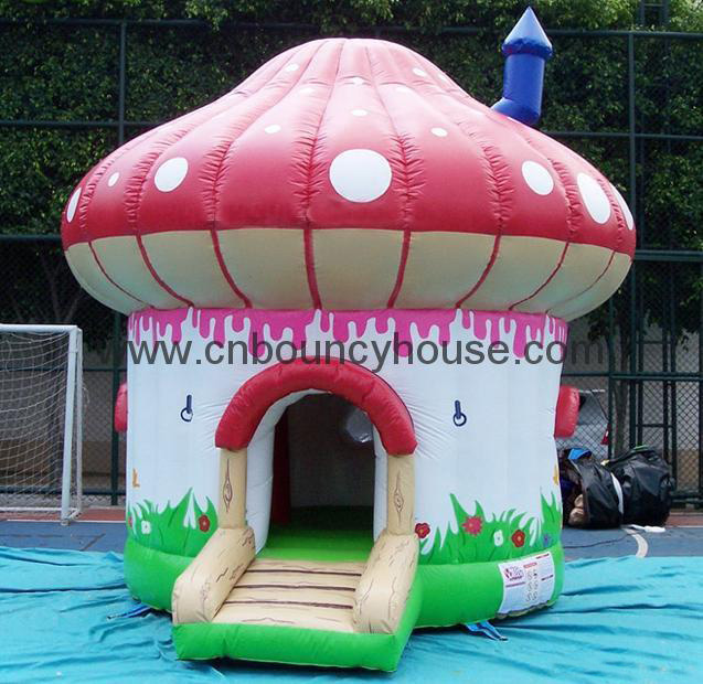 inflatable bounce house/inflatable jumping house/inflatable jumping
