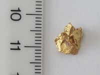 Gold Nuggets