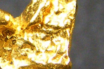 gold nugget