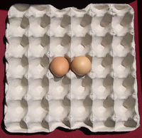 30 egg Paper Trays