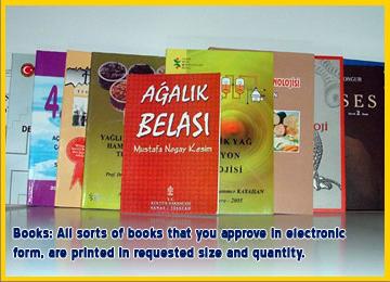 High Quality Books, Comics, Educational Books & Novels