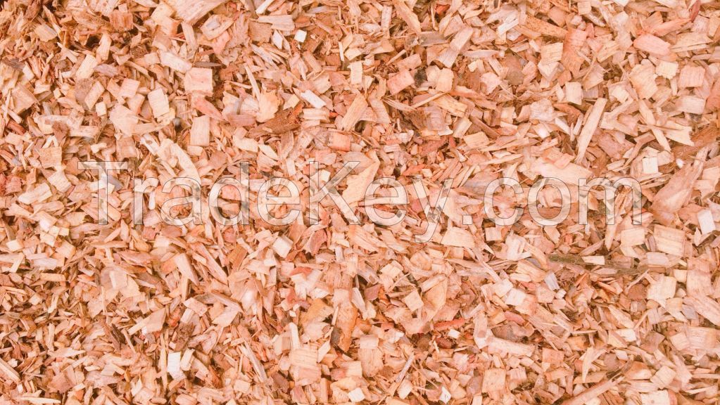 Wood chip