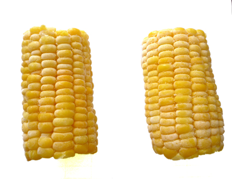 Frozen Cut Sweet Corn Cob