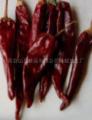 sell dried chilies