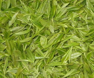 green tea extract EGCG