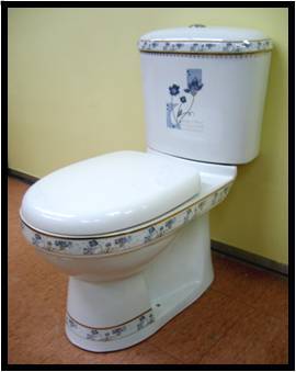 Baron  2 piece toilet bowl