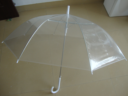 POE Transparent Umbrella