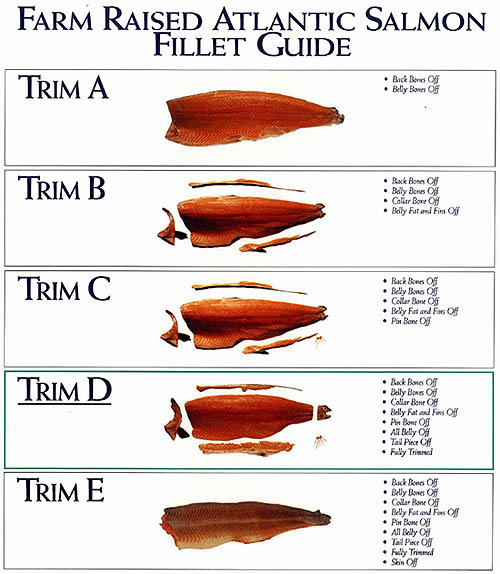 Salmon Fish Fillets