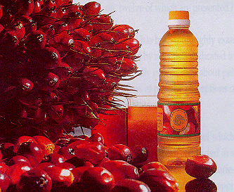 Palm Oil