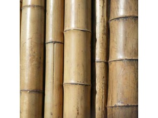 Bamboo Sticks Poles