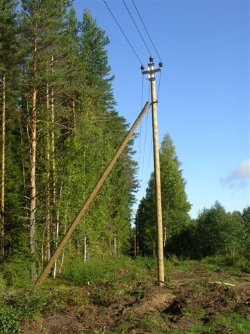 wood poles (posts)