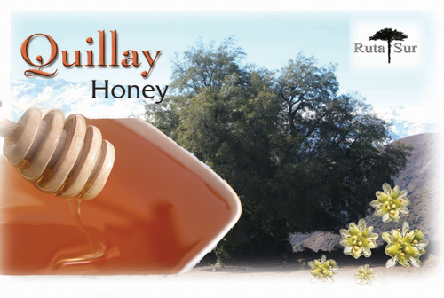 Quillay Honey