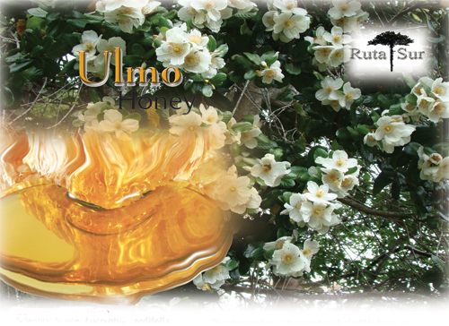 Ulmo Honey