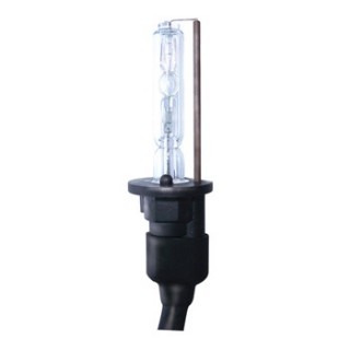 HID xenon lamp