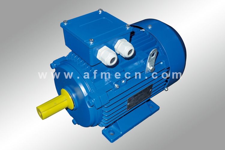 IE1 Standard Efficiency Three Phase Motor