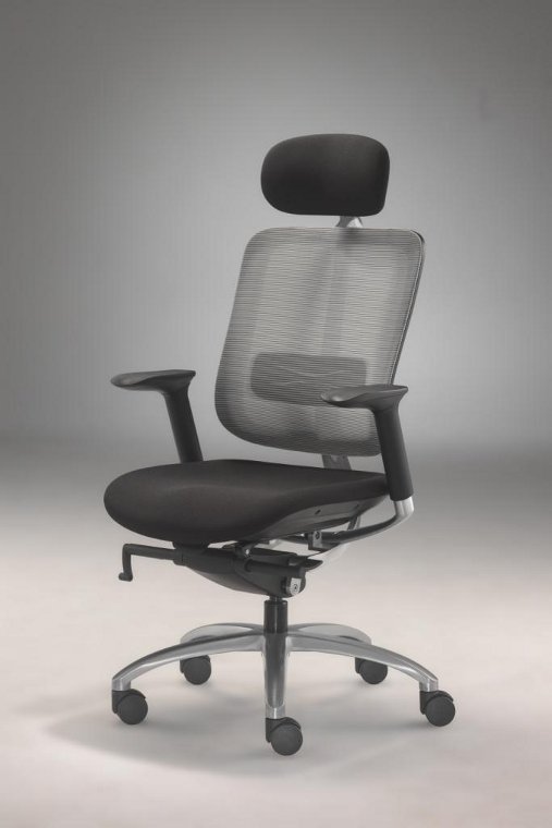 Zoom Chair