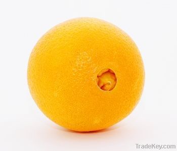 Navel Orange