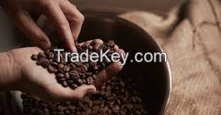 Export Standard High Quality Java Robusta Coffee Beans