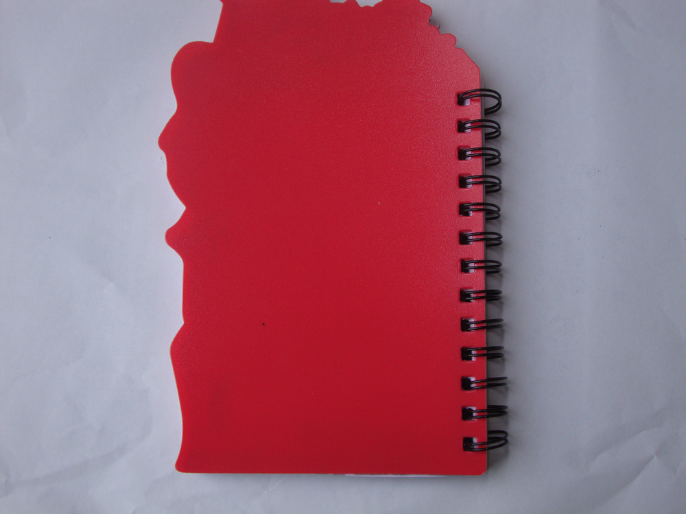 spiral notebooks