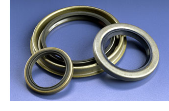 Oil Seal