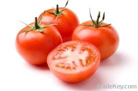 Fresh red tomatoes