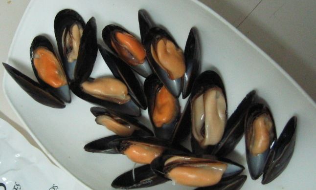 BLUE MUSSELS