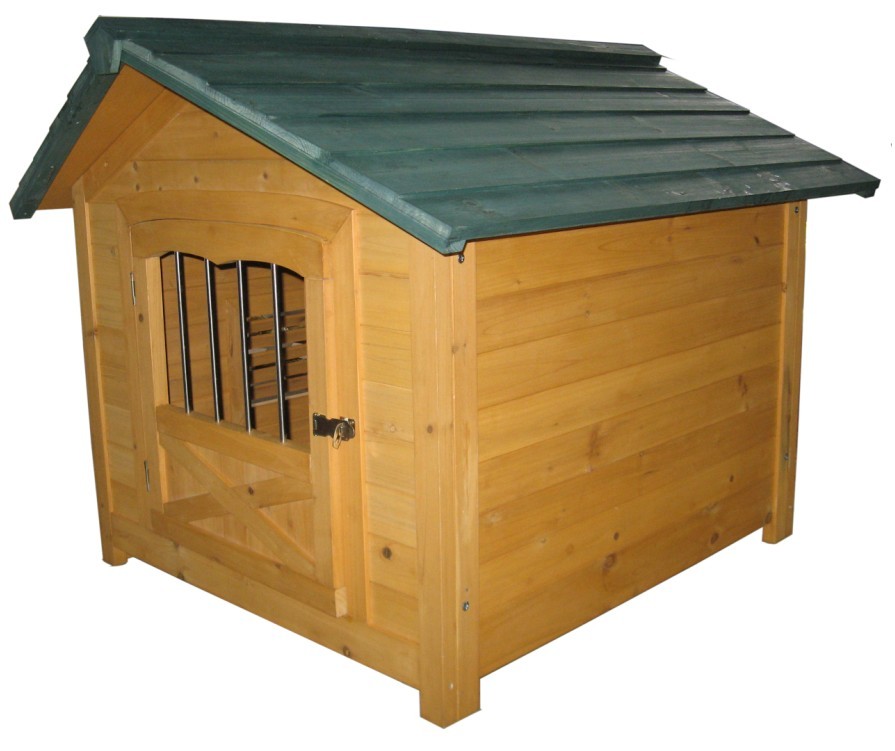 Dog House