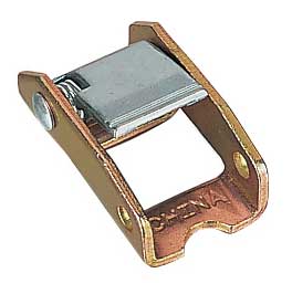 cam buckle