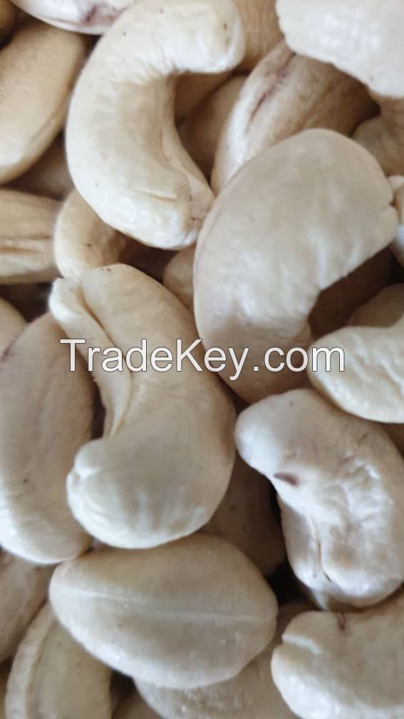 Cashew Nut Kernels and Raw Cashew Nuts