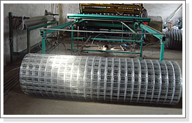 Welded wire mesh