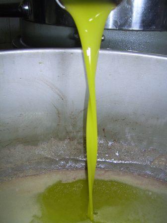 Top Quality Tuscan Olive oil