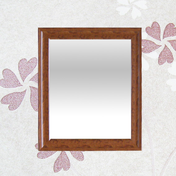 Plastic Mirror frame