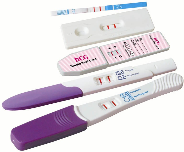 Pregnancy Test