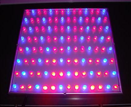 LED Plant Grow Light