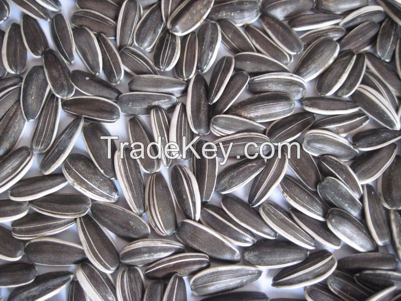 Wholesale high quality sunflower seeds