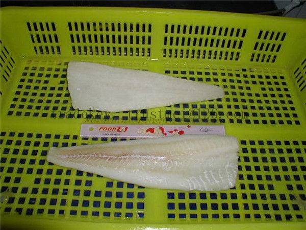 Atlantic cod fillets, loins, portions, lightly salted