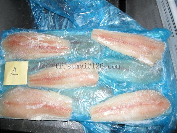 Pacific hake fillets IQF