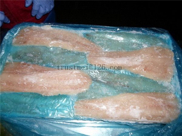 Pacific hake fillets IQF