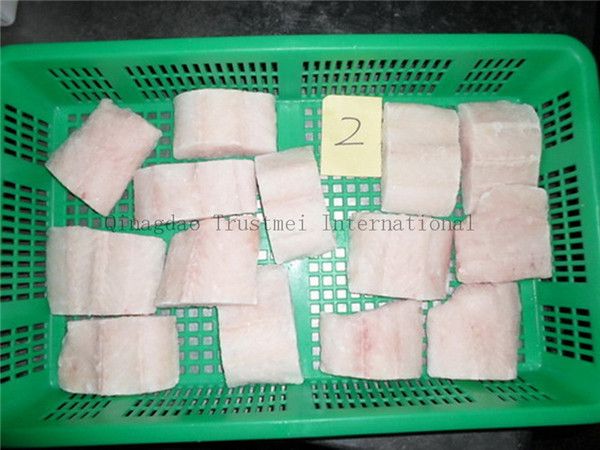 Hoki fillets, portions, loins, blocks